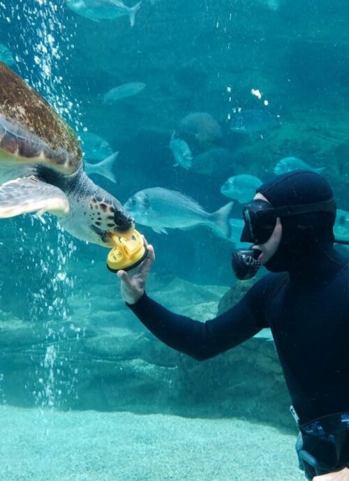 CretAquarium_Thalassakosmos_1