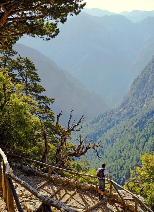Samaria_Gorge