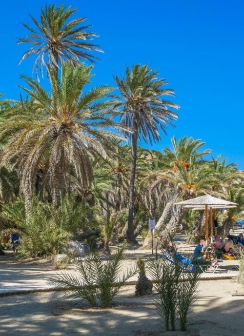 Vai-Palm-Beach-Lasithi-Lassithi-Crete-Greece-allincrete.com-9