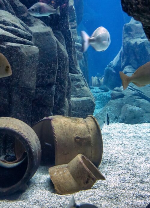 moregreece-creatquarium1
