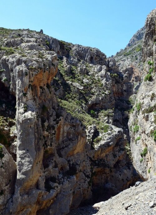 kourtaliotiko-gorge